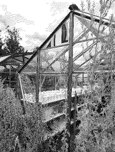 a greenhouse with rows of MFC containers at Platt's Field, Manchester.